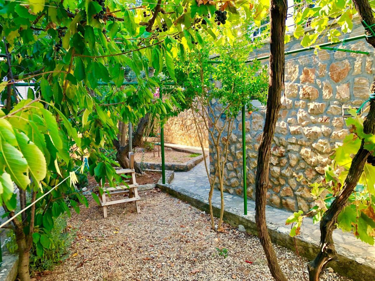 Villa Dinastija กาลี ภายนอก รูปภาพ