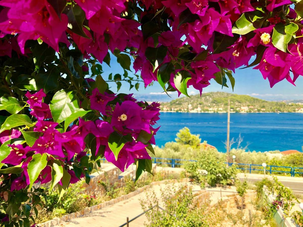 Villa Dinastija กาลี ภายนอก รูปภาพ